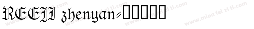 REEJI zhenyan字体转换